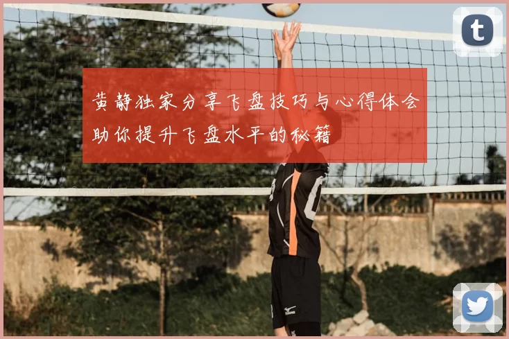黄静独家分享飞盘技巧与心得体会助你提升飞盘水平的秘籍