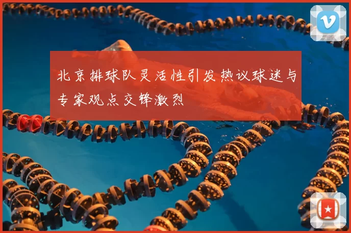 北京排球队灵活性引发热议球迷与专家观点交锋激烈
