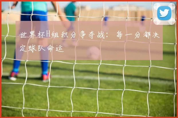 世界杯H组积分争夺战：每一分都决定球队命运