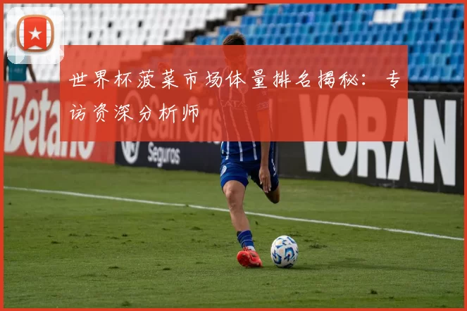 世界杯菠菜市场体量排名揭秘：专访资深分析师