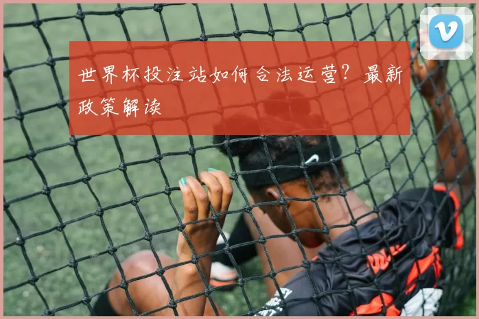世界杯投注站如何合法运营?最新政策解读