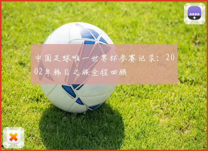 中国足球唯一世界杯参赛记录:2002年韩日之旅全程回顾
