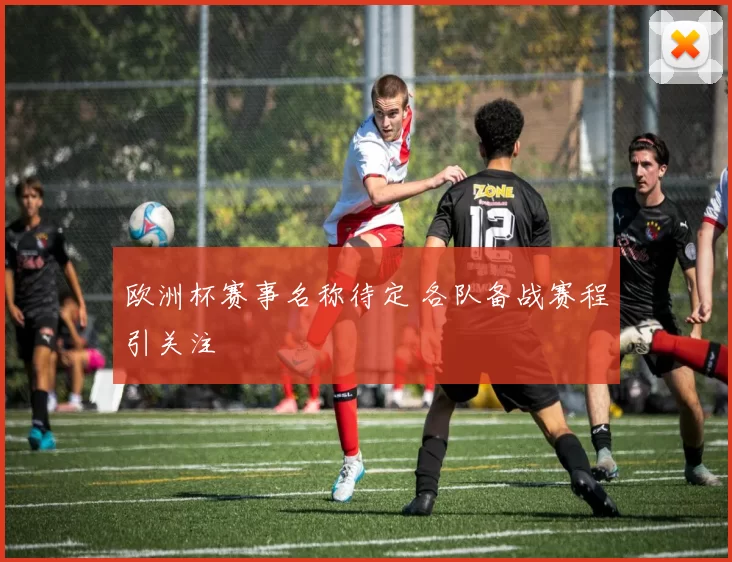 欧洲杯赛事名称待定 各队备战赛程引关注