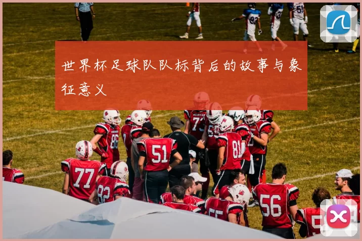 世界杯足球队队标背后的故事与象征意义