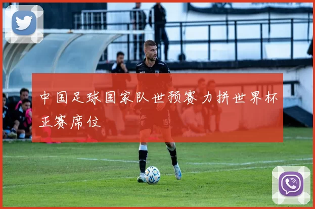 中国足球国家队世预赛力拼世界杯正赛席位
