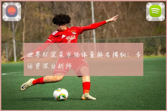 世界杯菠菜市场体量排名揭秘：专访资深分析师