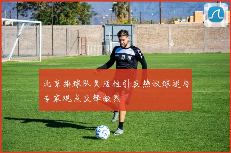 北京排球队灵活性引发热议球迷与专家观点交锋激烈