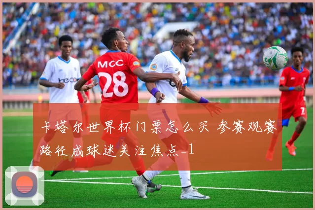 卡塔尔世界杯门票怎么买 参赛观赛路径成球迷关注焦点_1