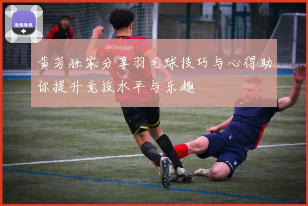 黄芳独家分享羽毛球技巧与心得助你提升竞技水平与乐趣