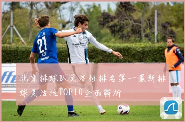 北京排球队灵活性排名第一最新排球灵活性TOP10全面解析