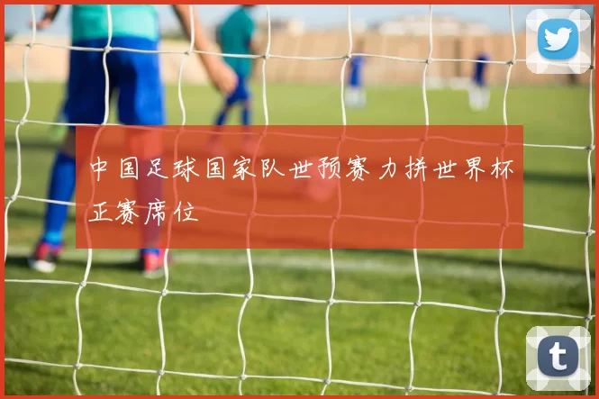 中国足球国家队世预赛力拼世界杯正赛席位