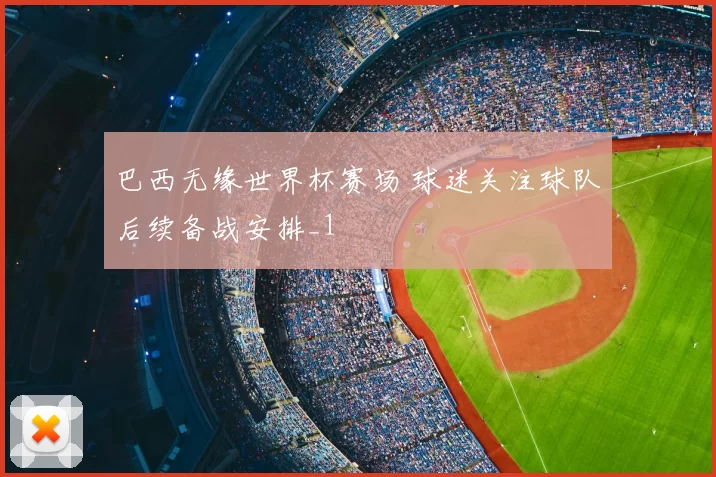巴西无缘世界杯赛场 球迷关注球队后续备战安排_1