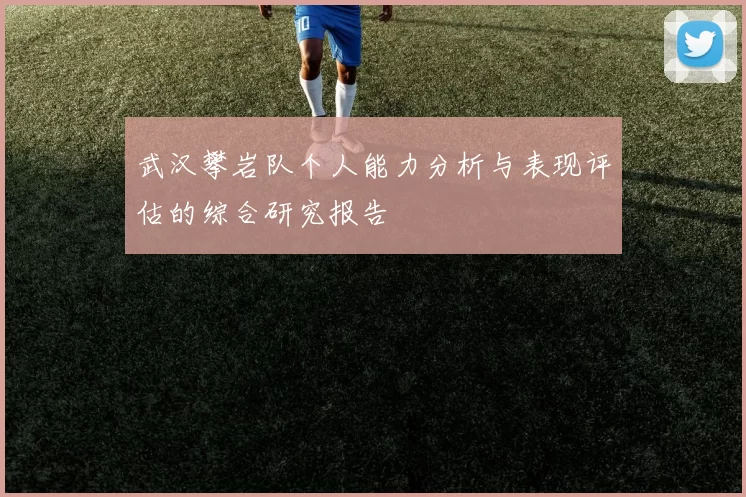 武汉攀岩队个人能力分析与表现评估的综合研究报告