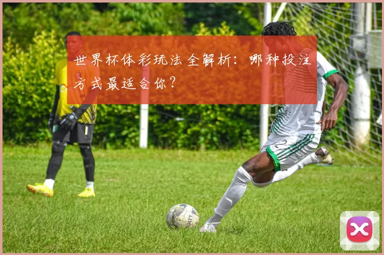 世界杯体彩玩法全解析：哪种投注方式最适合你？